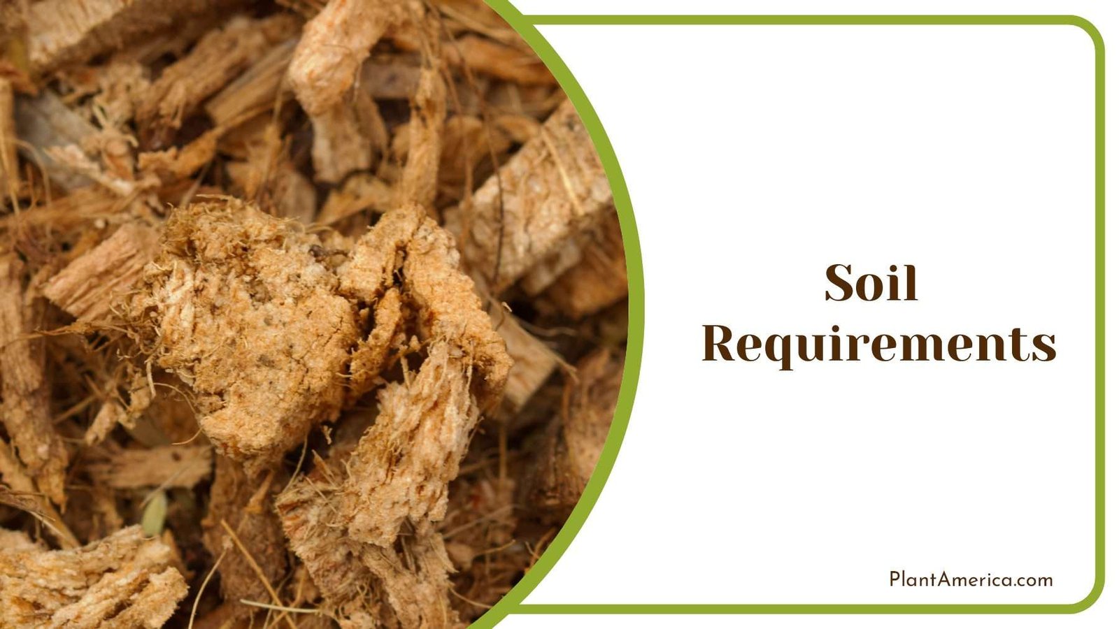 Coconut Husk Best to Add to Orchid s Soil PlantAmerica