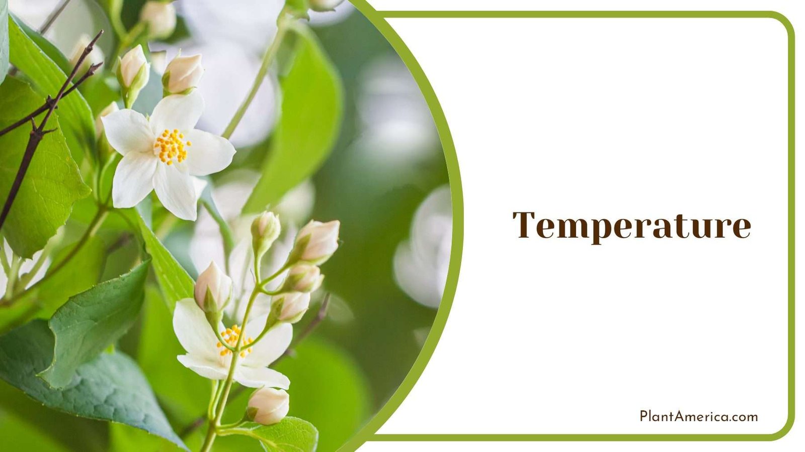 Consider the Temperature Plant America Consider the Temperature Plant America