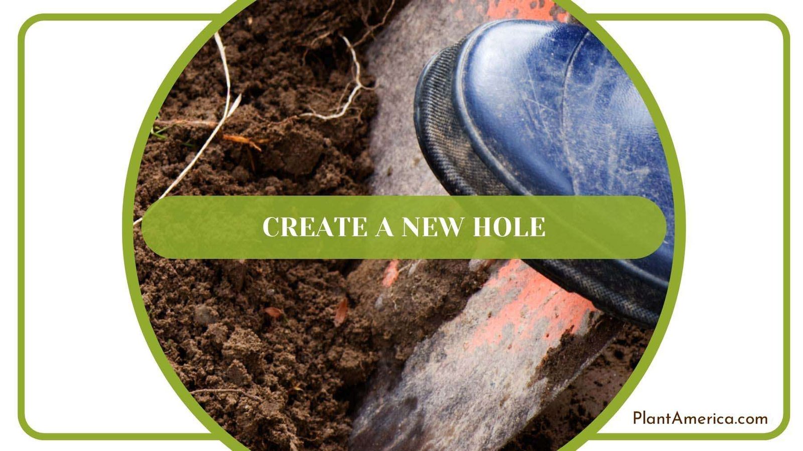 Creating New Hole for Cottonwood Tree Plant America