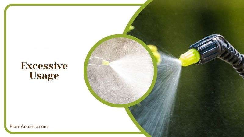 Excessive Usage of Miracle Gro Plant America Excessive Usage of Miracle Gro Plant America