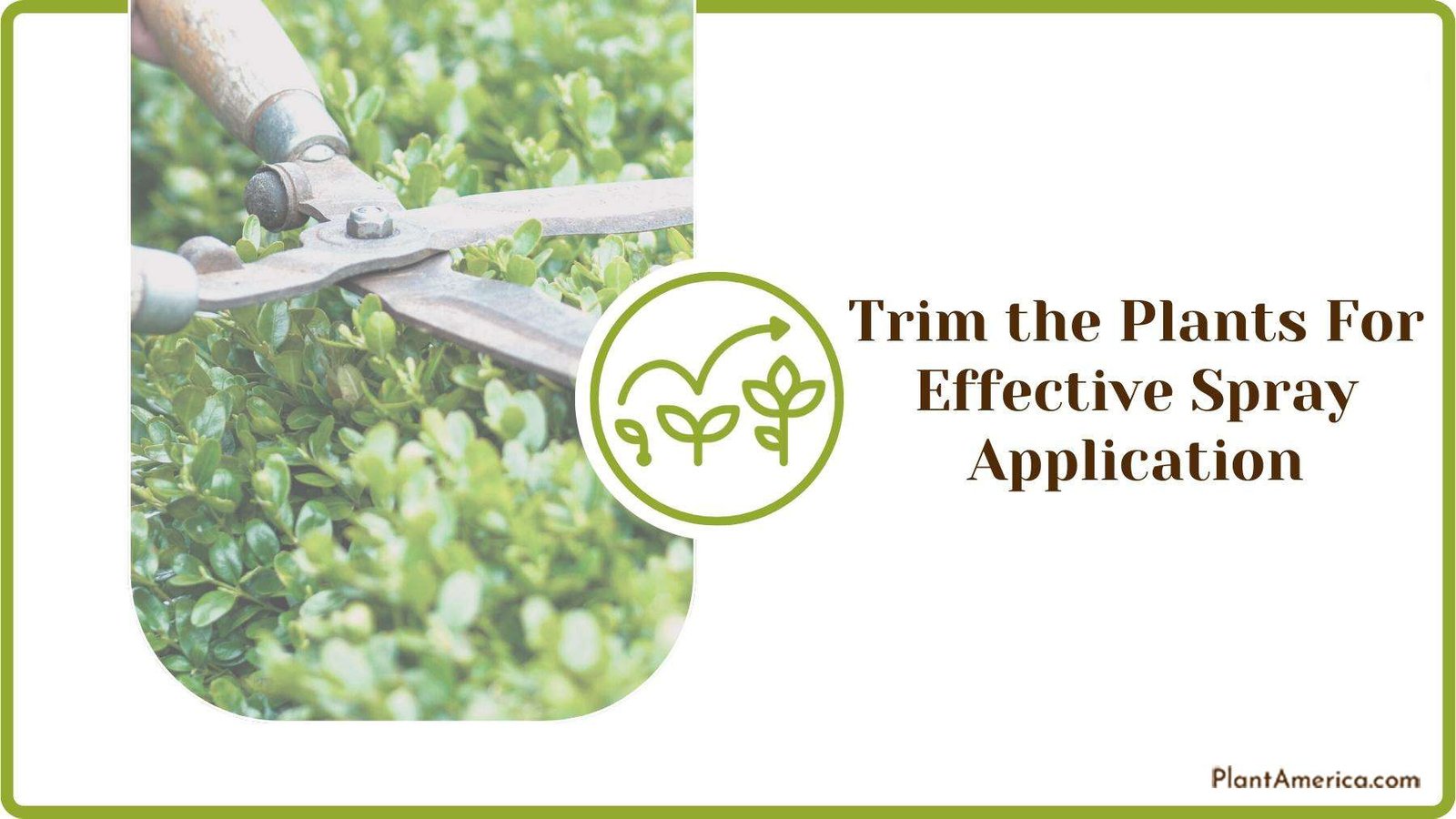 Gardener Trimming Plant With Giant Scissor Plant America