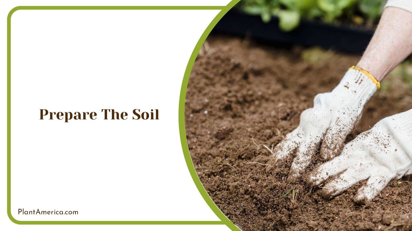 Gardener While Preparing A Soil Plant America