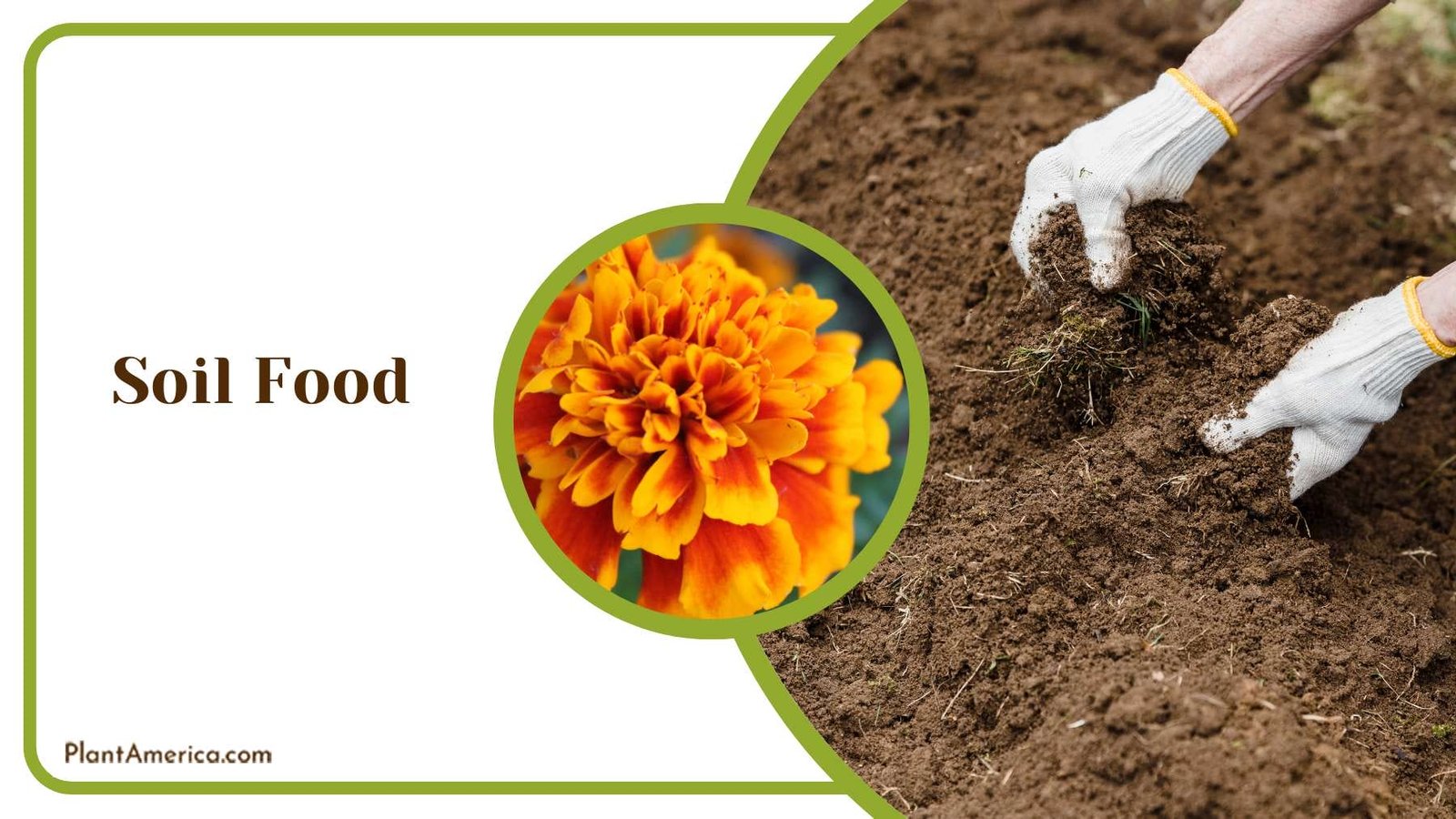 Healthy Soil for Plants Plant America