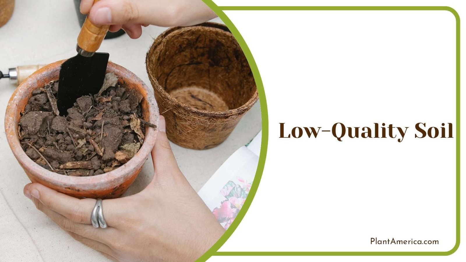 Low Quality Soil in Pot Plant America