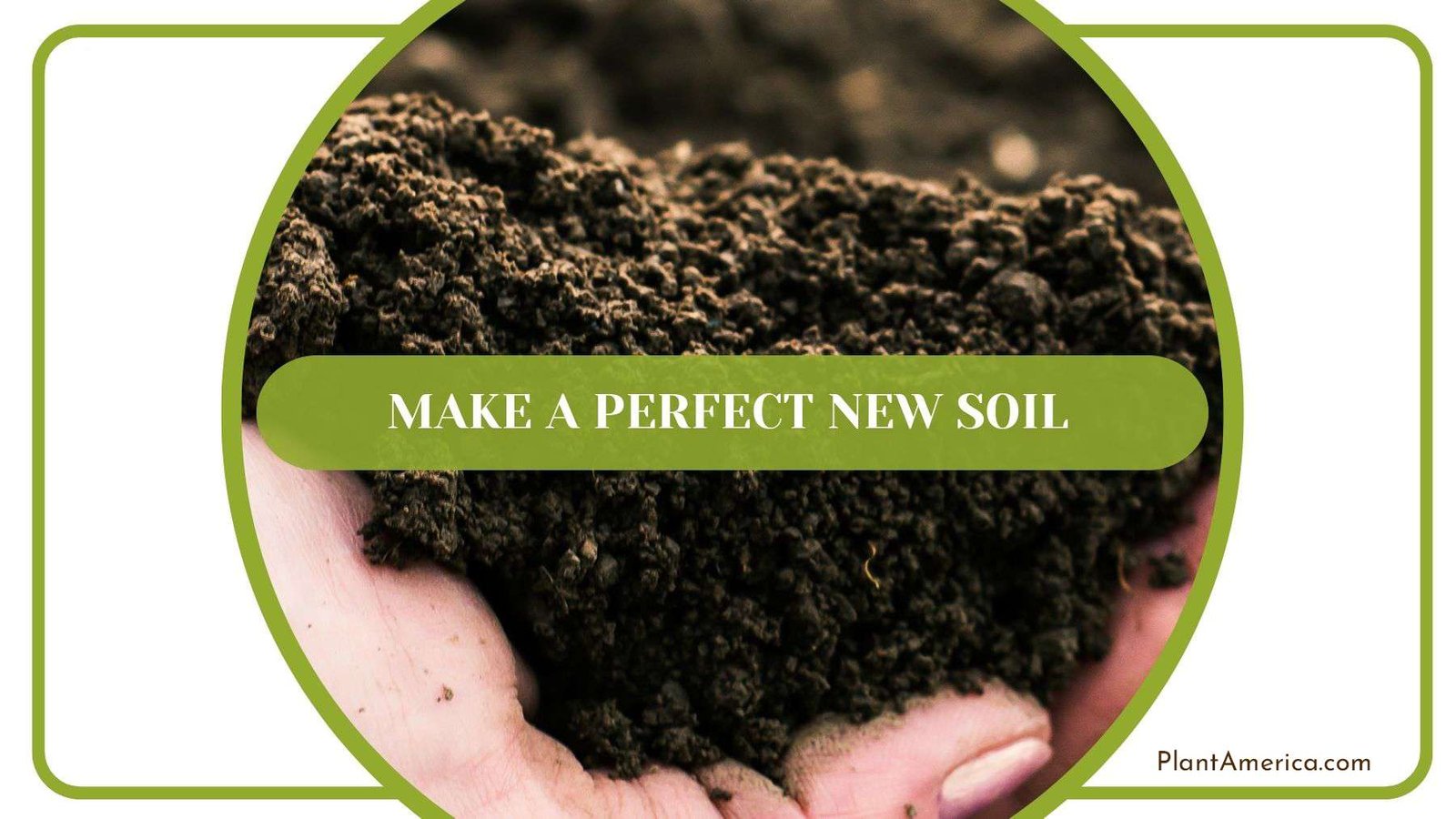 Making Perfect New Soil for Desert Rose Plant America