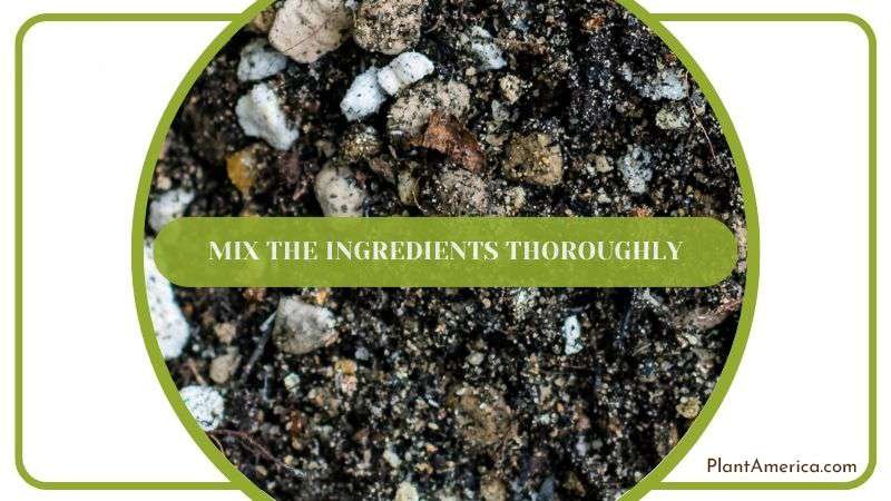 Mix the Ingredients Thoroughly Plant America