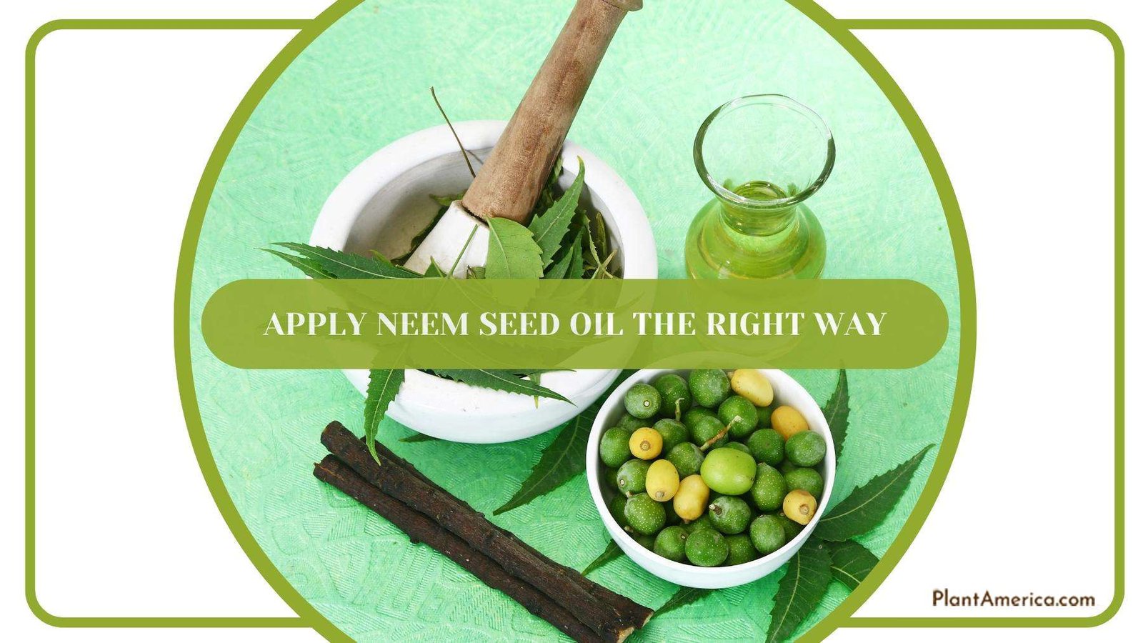 Neem Oil One of Best Cures For Infested Plants Plant America