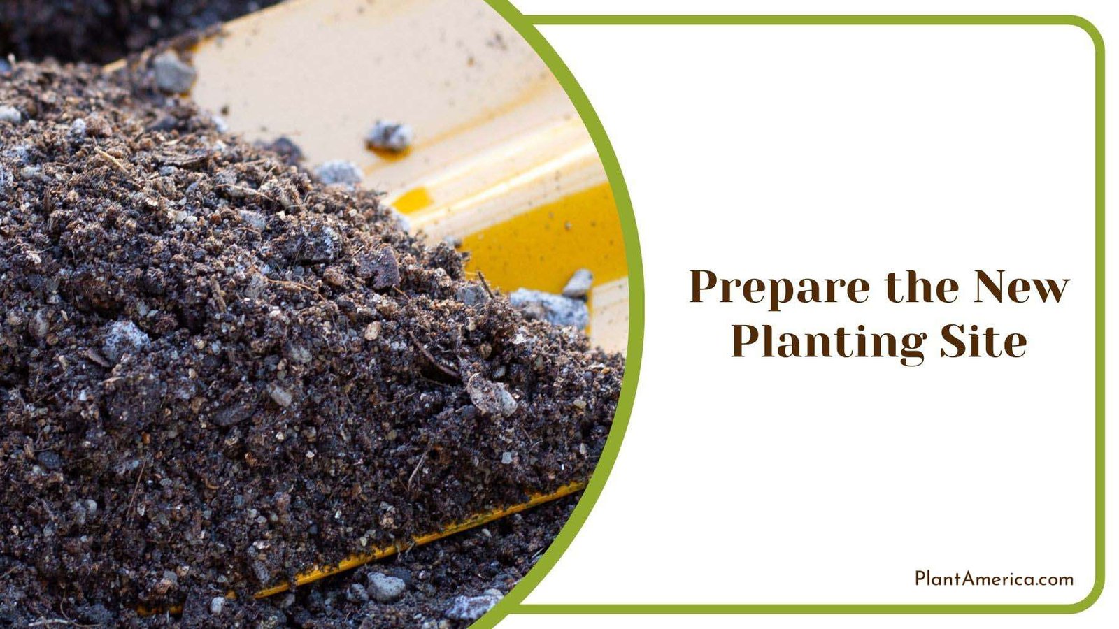 New Planting Site for Root Beer Plants Plant America