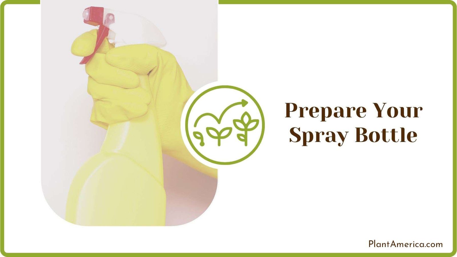 Preparing Neem Spray Bottle PlantAmerica