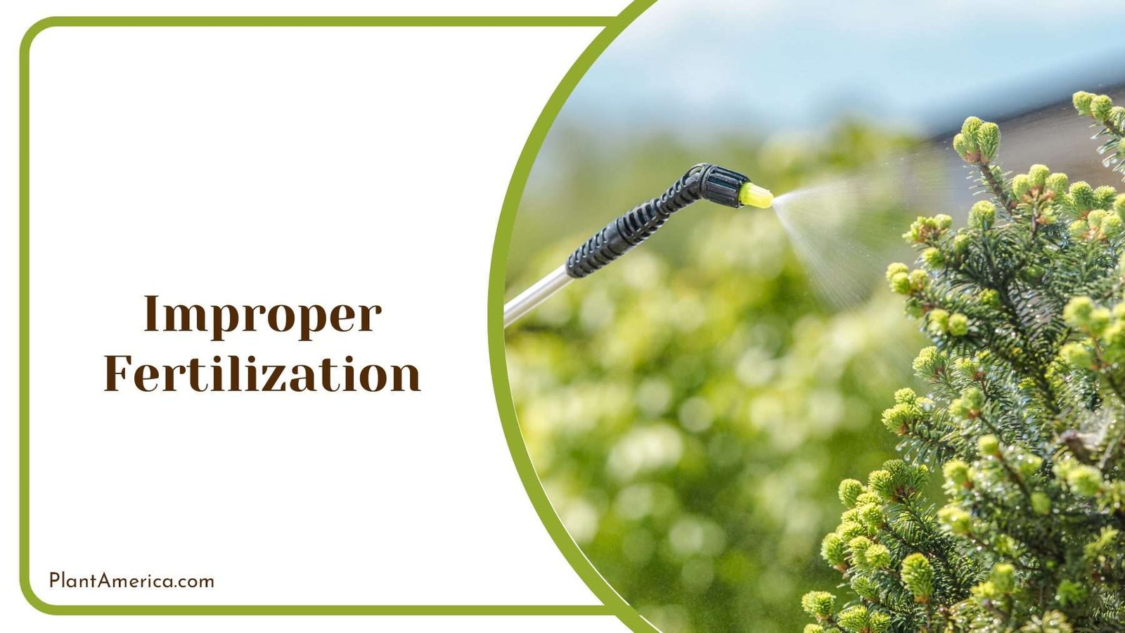 Preventing Improper Fertilization Plant America