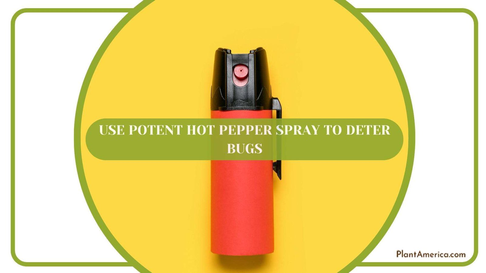 Red Pepper Spray For Detecting Bugs Plant America