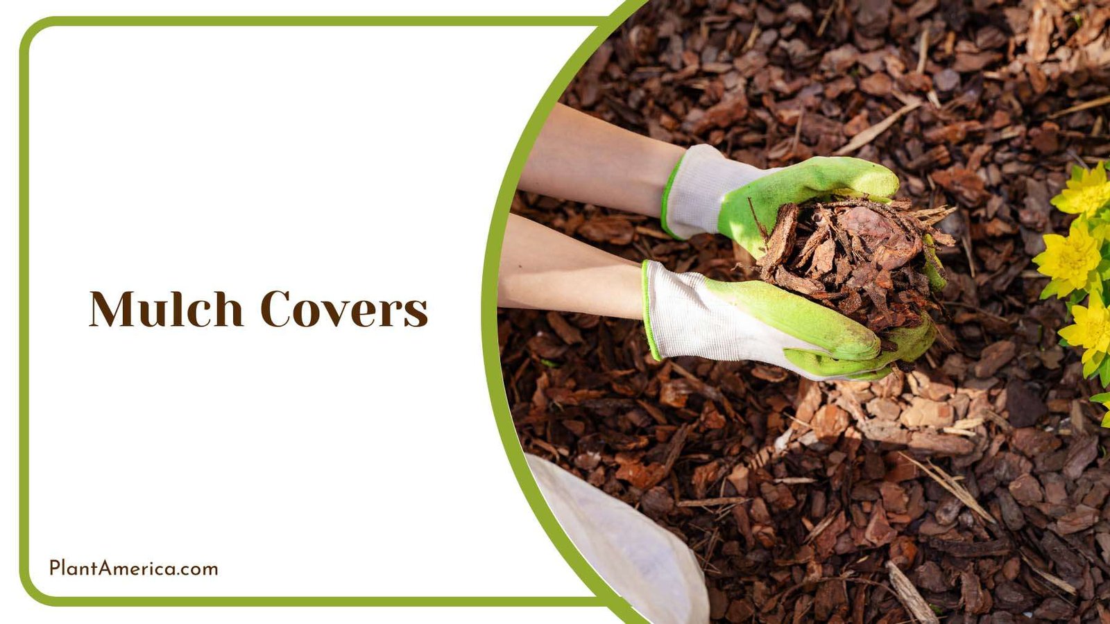 Using Mulch in Garden Plant America Plant America Using Mulch in Garden Plant America Plant America
