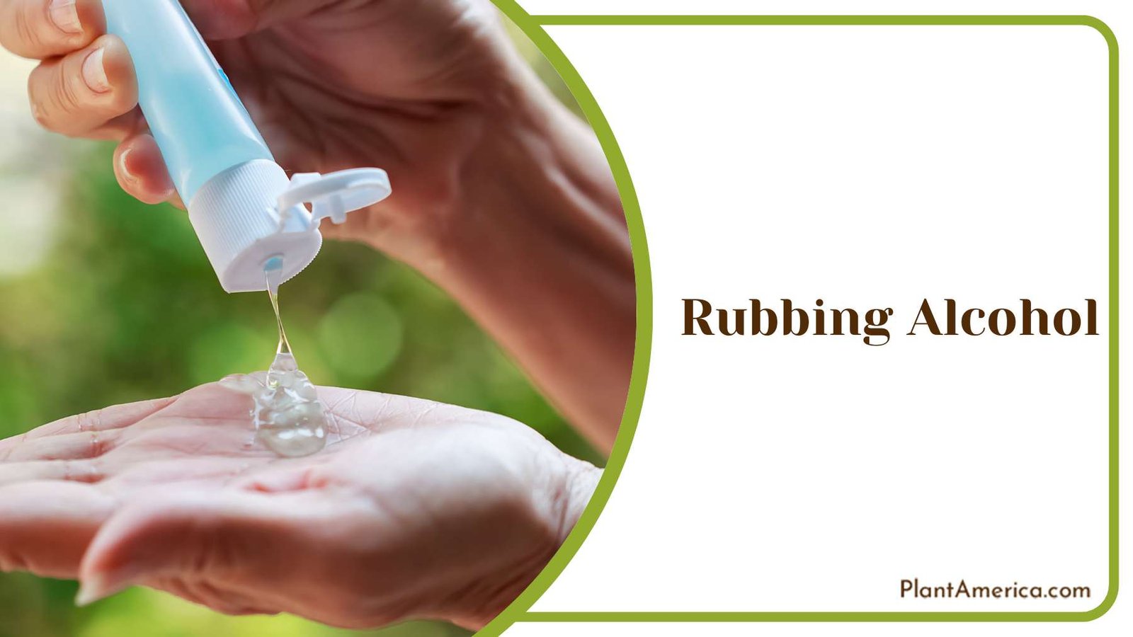 Using Rubbing Alcohol PlantAmerica Using Rubbing Alcohol PlantAmerica