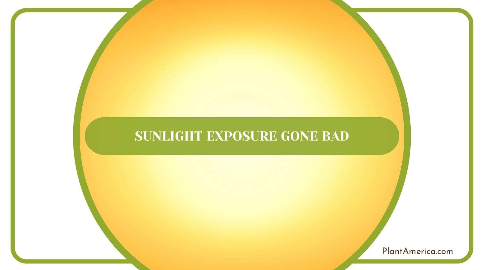 Watering A Garden With Help Of Nozzle Plant America