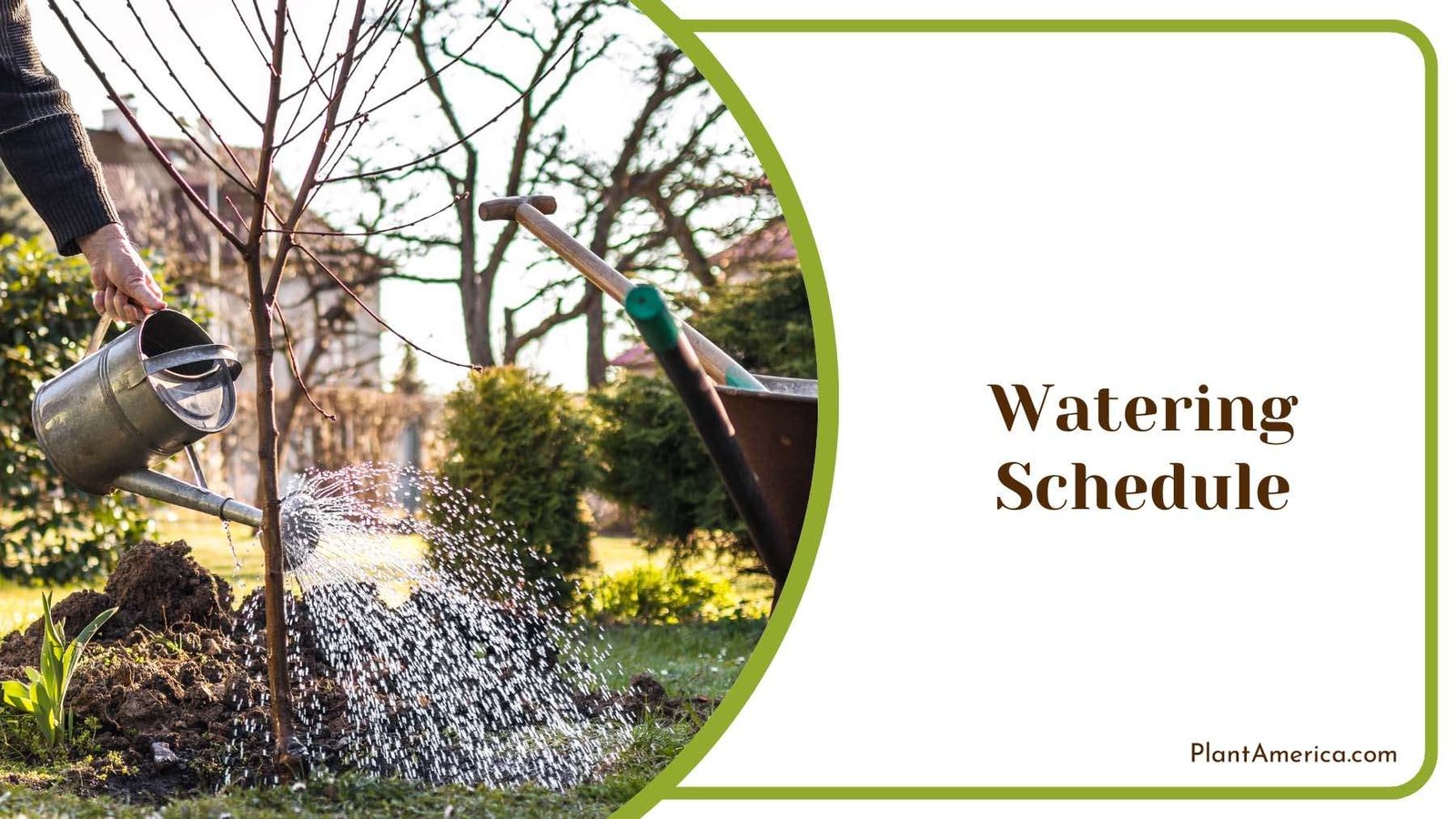 Watering Plants in Garden Plant America
