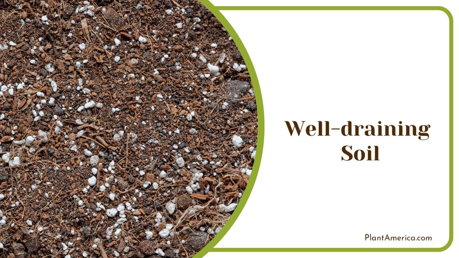 Well Draining Soil in Garden Plant America Well Draining Soil in Garden Plant America