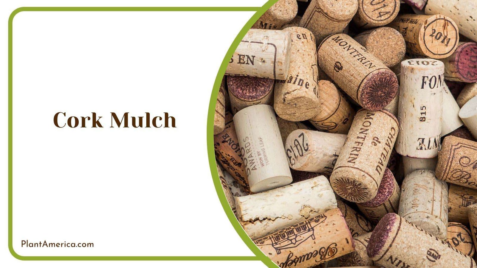 Advantages of Cork Mulch Plant America
