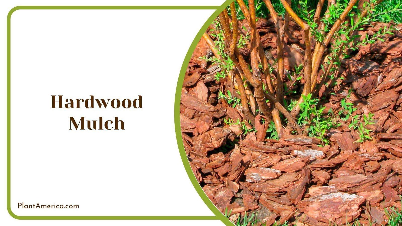 Benefits of Hardwood Mulch Plant America