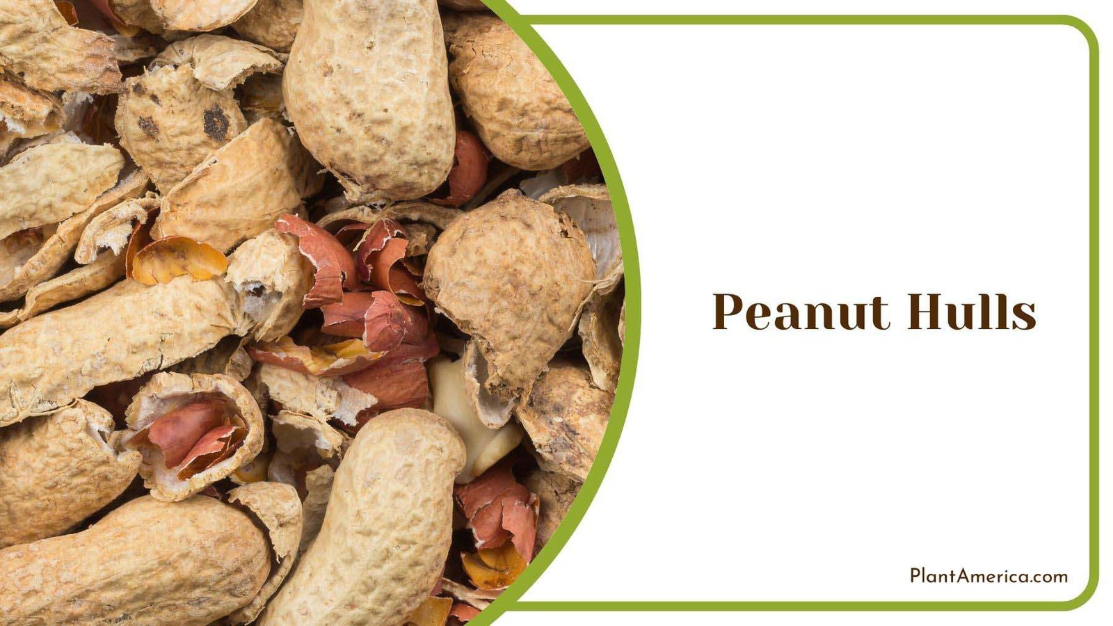 Benefits of Peanut Hulls Plant America