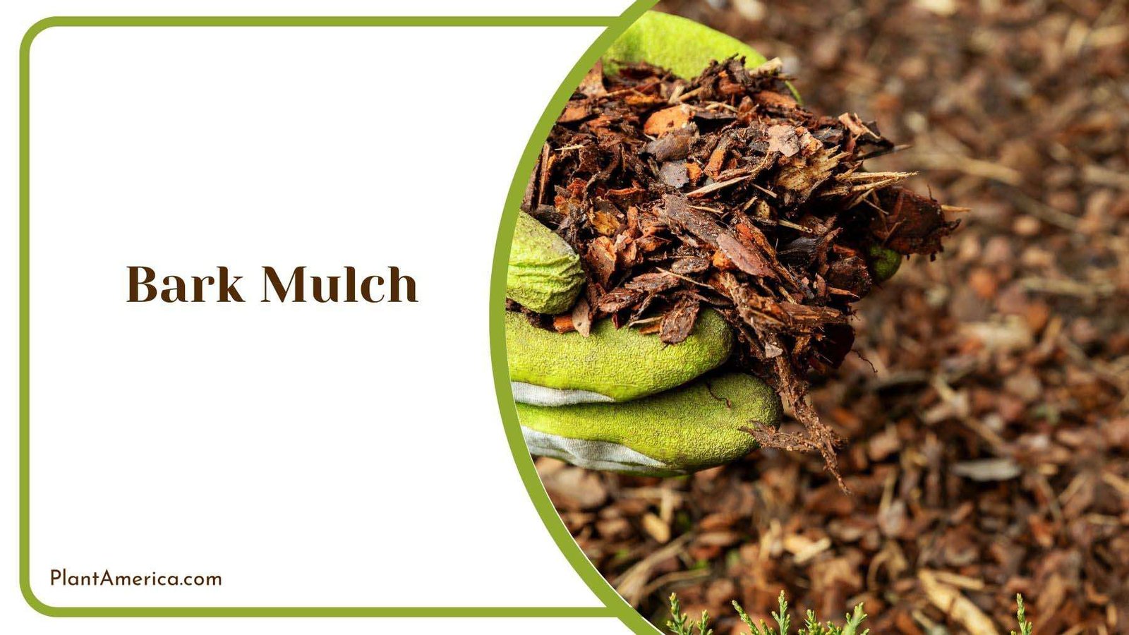 Best Season for Bark Mulch Plant America