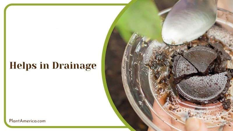 Coffee Grounds Help in Drainage PlantAmerica Coffee Grounds Help in Drainage PlantAmerica