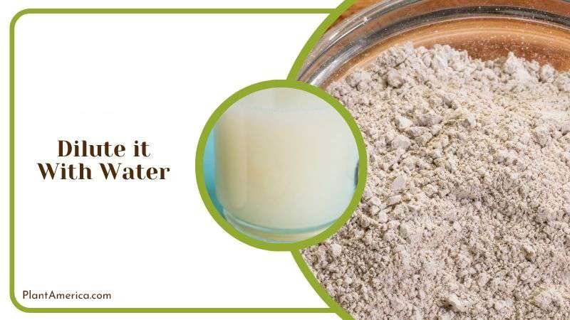 Diluting Diatomaceous Earth With Water Plant America