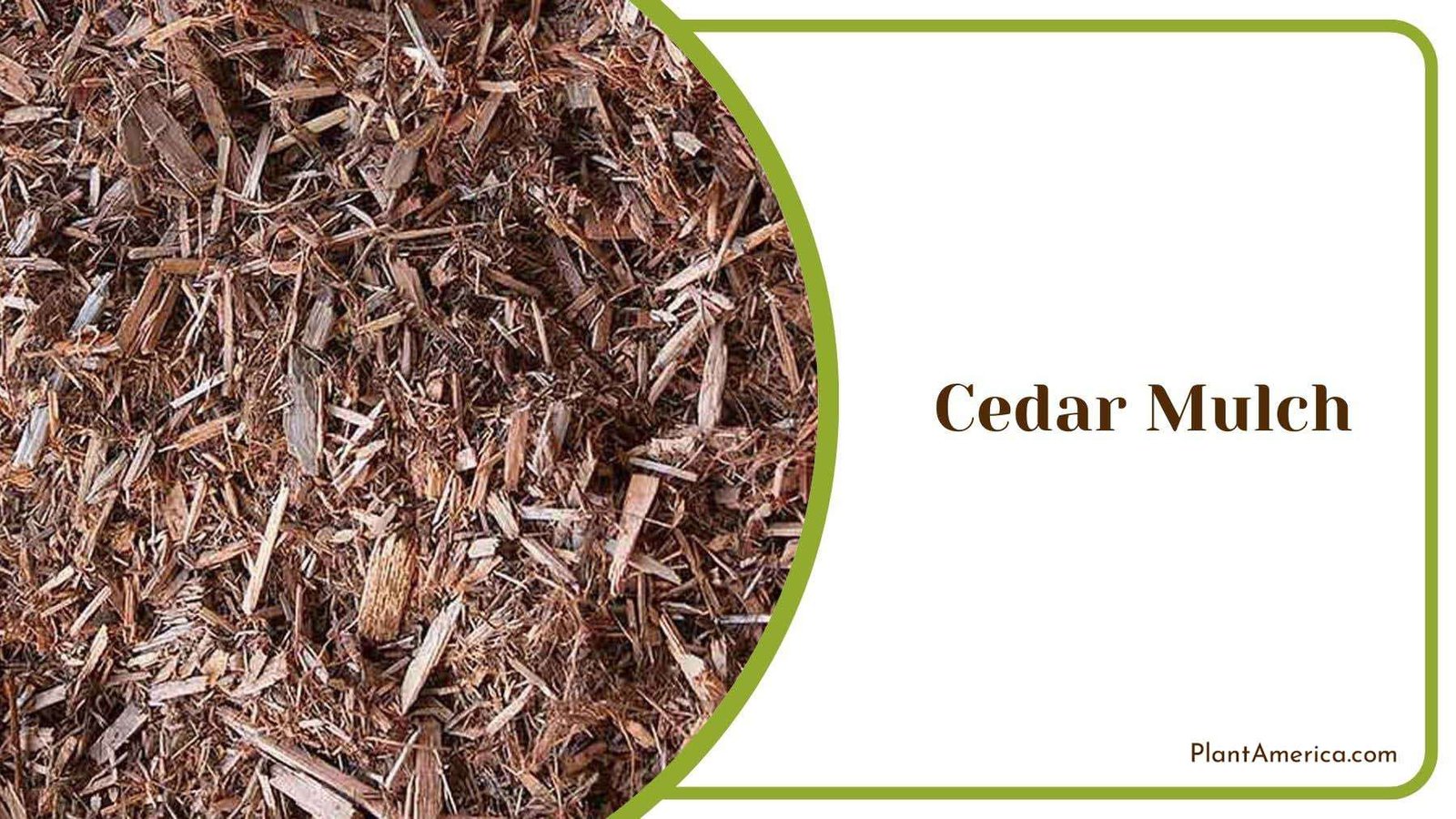 Making Cedar Mulch at Home Plant America