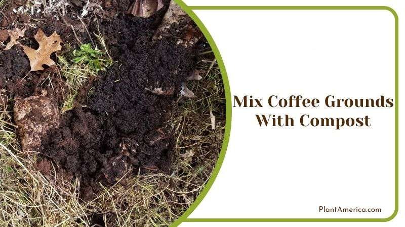 Mixing Coffee Grounds With Compost PlantAmerica Mixing Coffee Grounds With Compost PlantAmerica