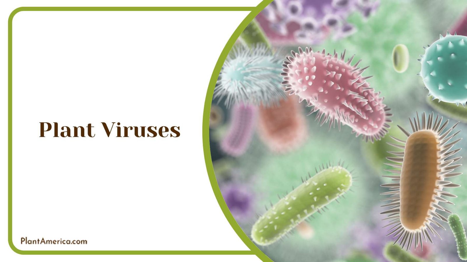 Plant Viruses Attack Plant America