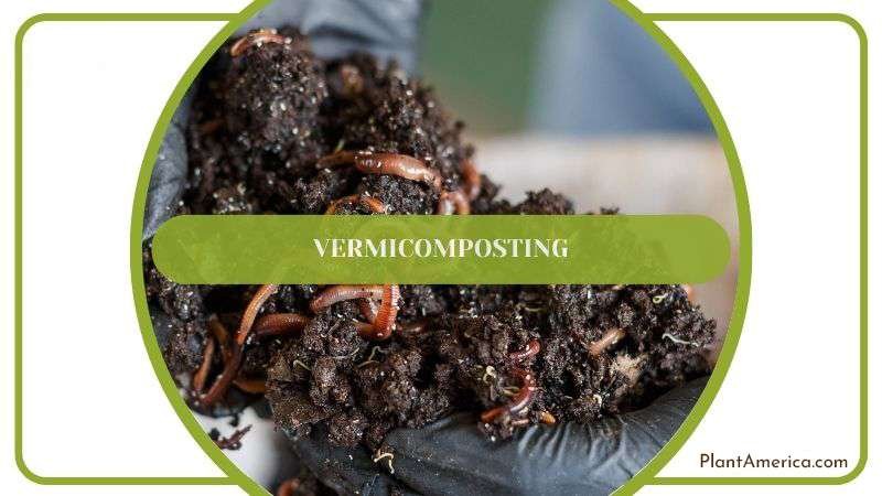 Potting Soil Vermicomposting Plant America