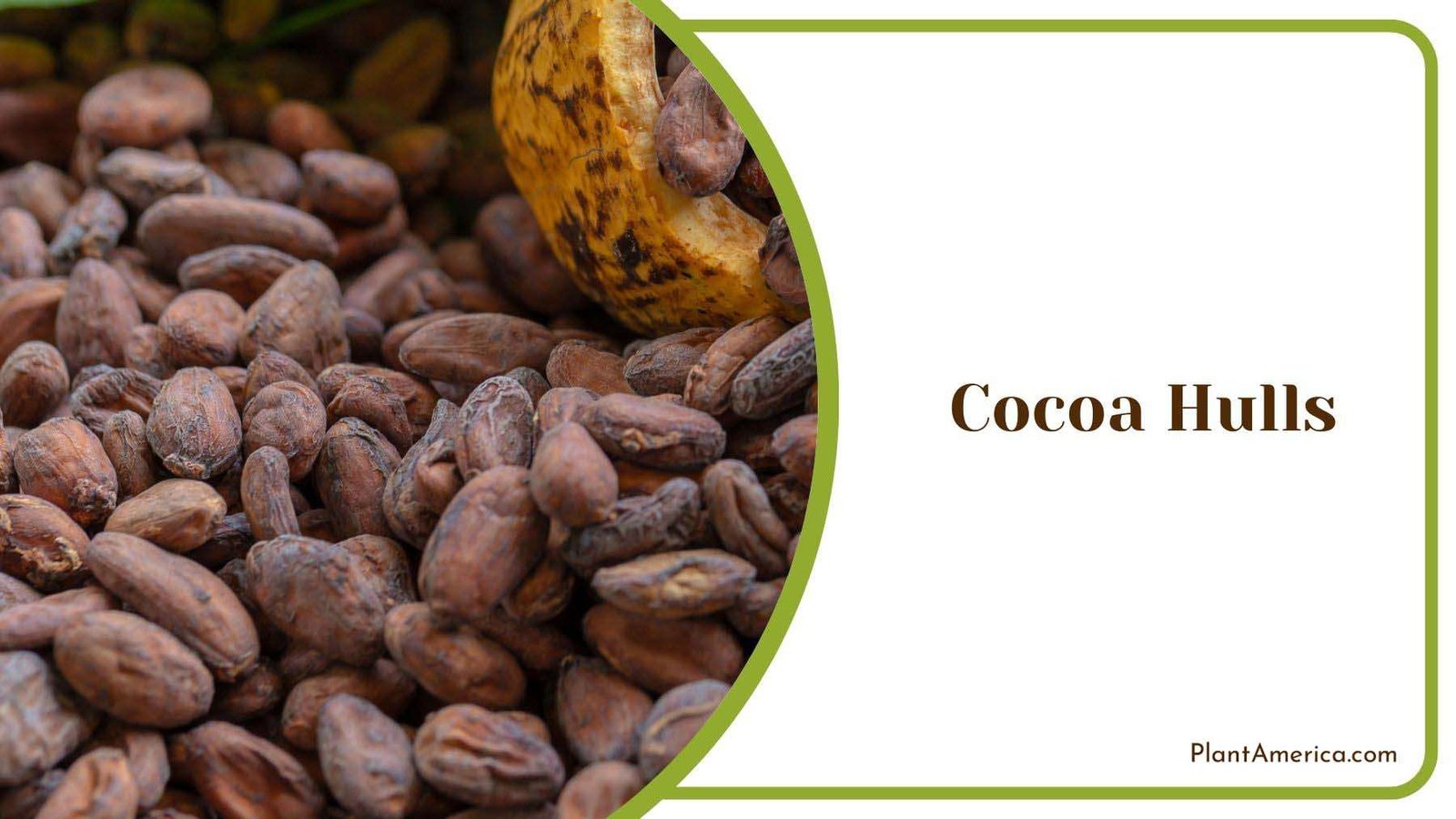 Preparing Cocoa Hulls Mulch Plant America