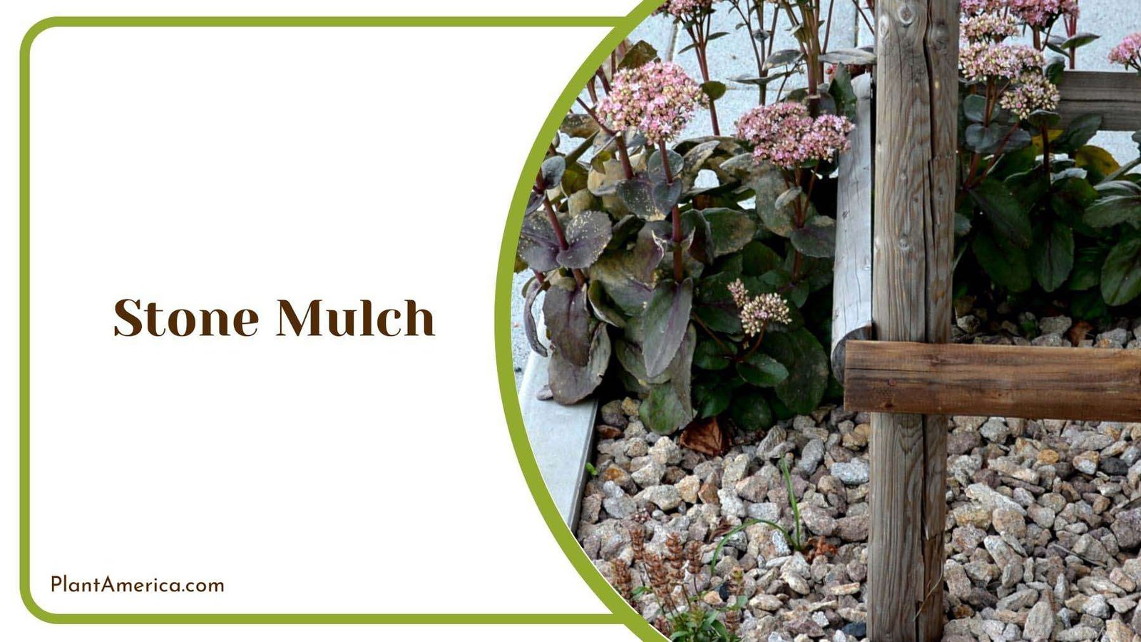 Properties of Stone Mulch Plant America