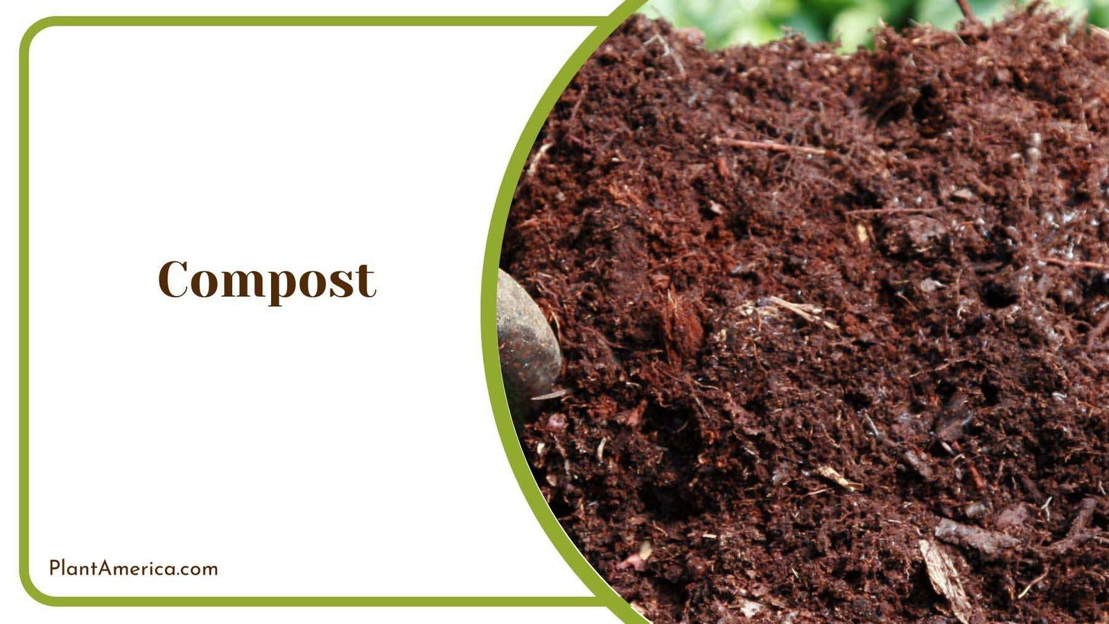Pros of Compost Mulch Plant America
