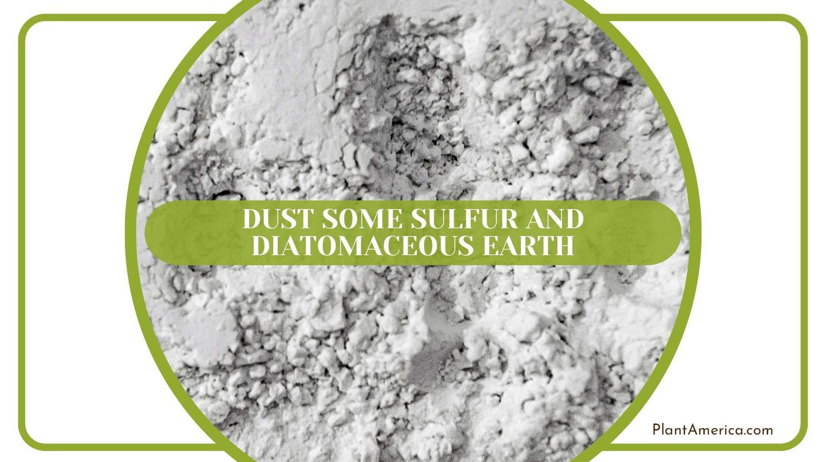 Sulfur and Diatomaceous Earth Plant America
