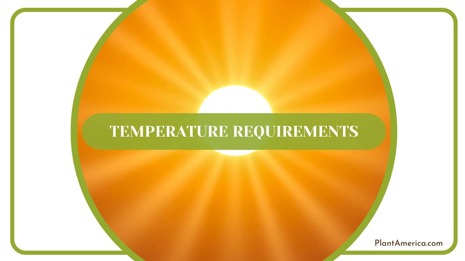 Temperature of Pedatum Plant America