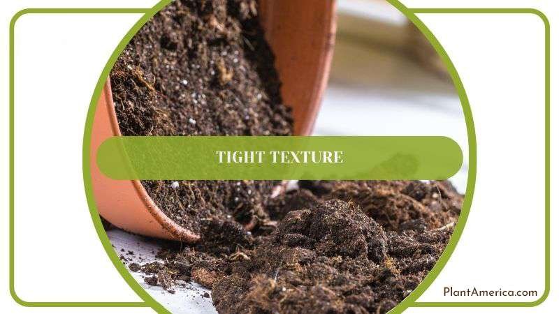 Tight Texture of Potting Soil Plant America