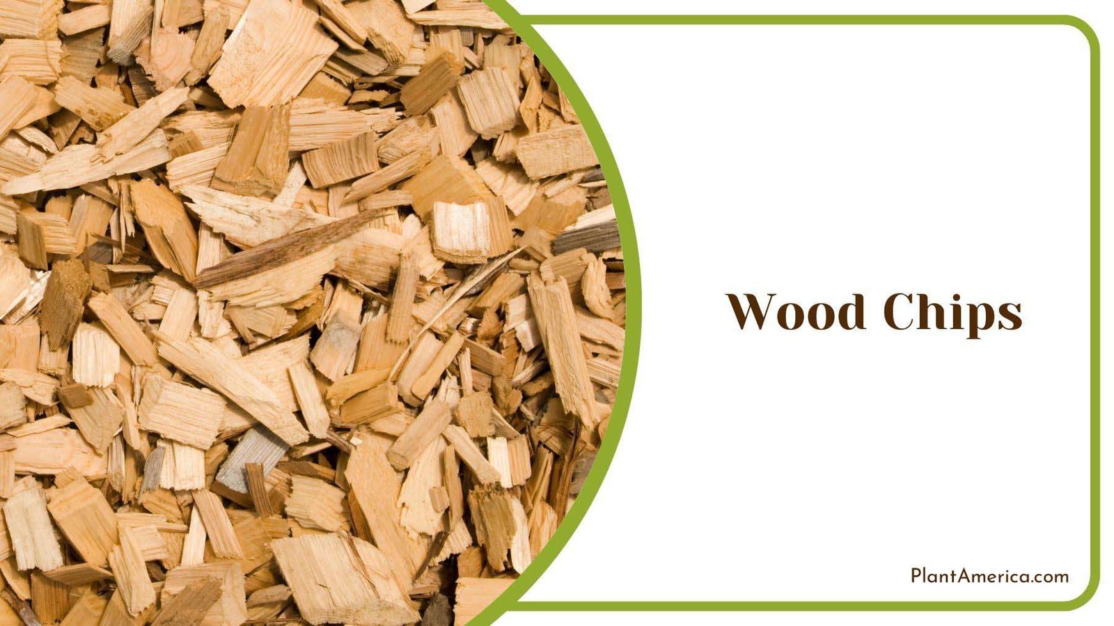 Using Wood Chips Mulch Plant America