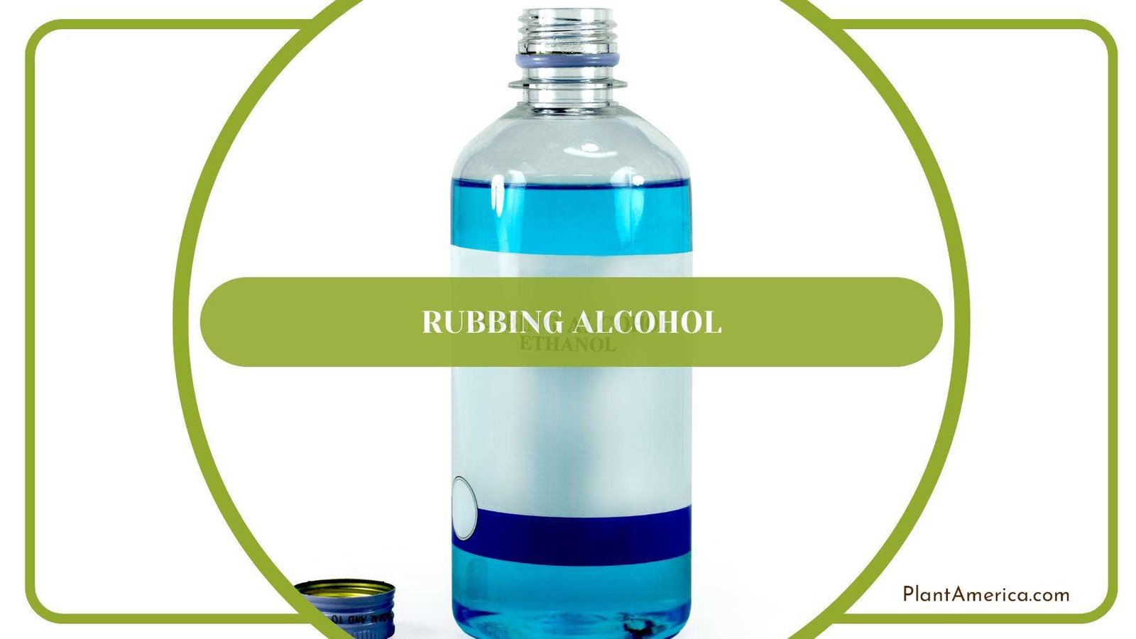 A Bottle Of Rubbing Alcohol Plant America