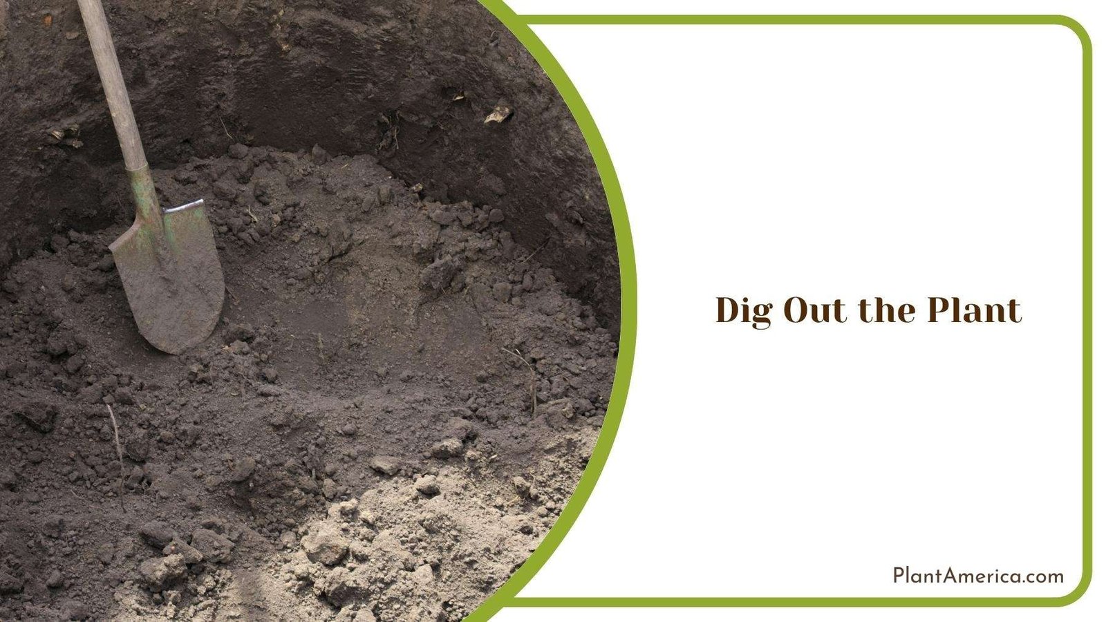 A Hole in Ground With a Shovel Inside Of It Plant America