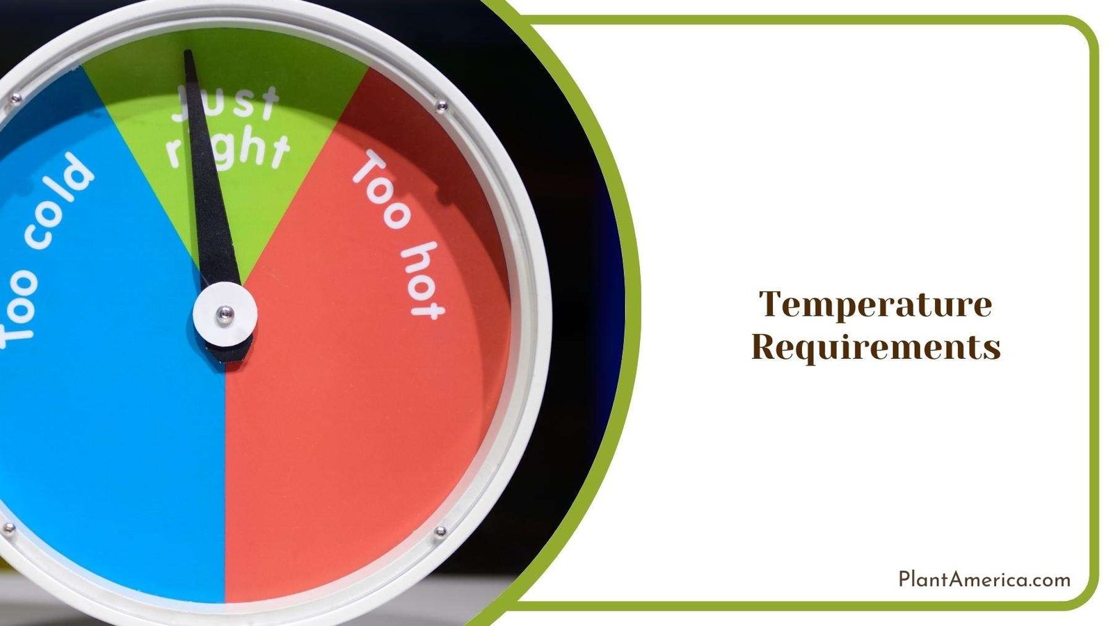 Basic Thermometer Showing Ranges Of Temperature Plant America
