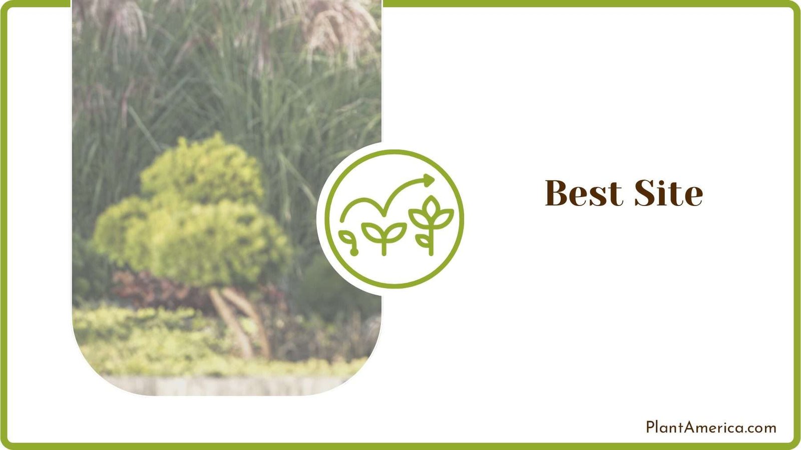 Best Possible Site Plant America Best Possible Site Plant America