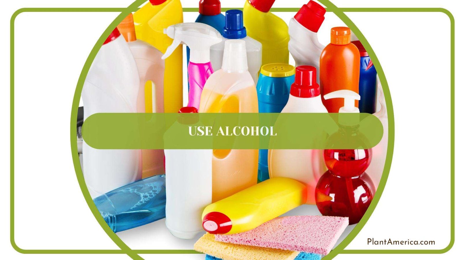 Bottles Of Cleaner Alcohol Plant America