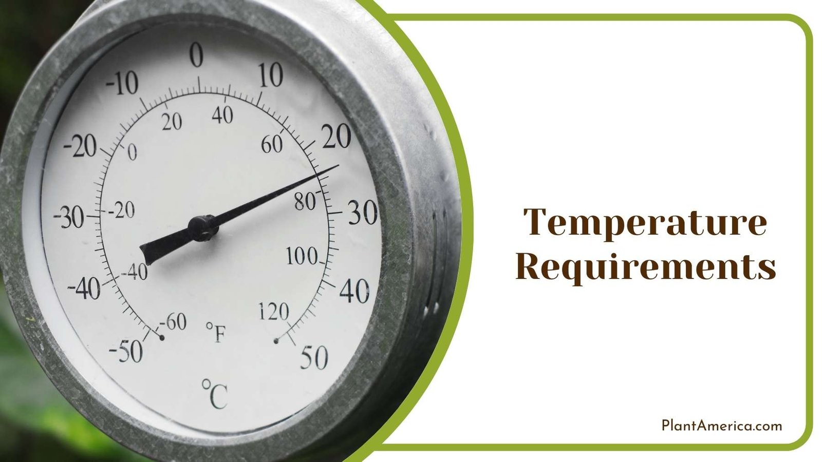 Circle Metal Thermometer Plant America