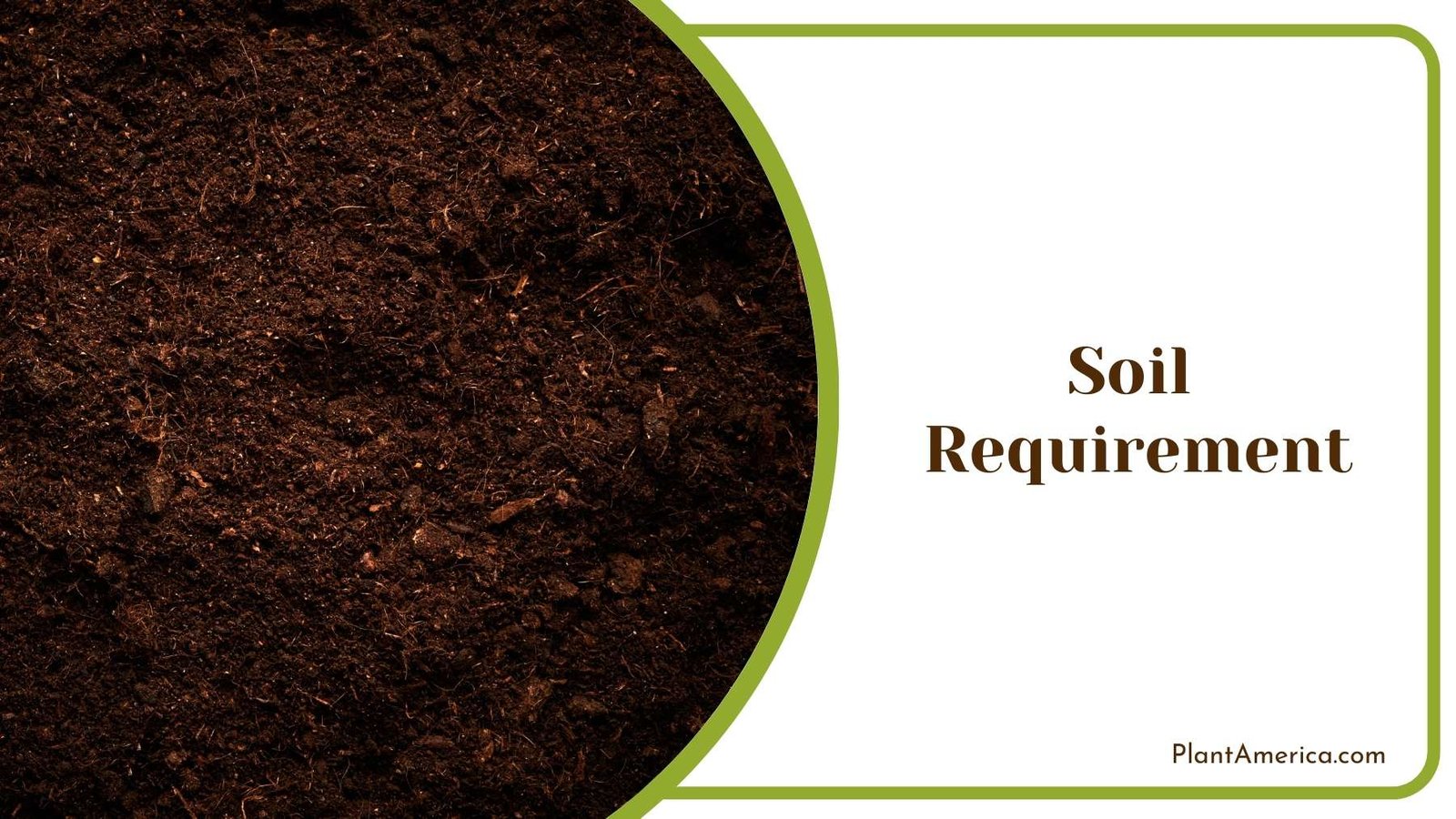 Close On Soil For Gardening Plant America