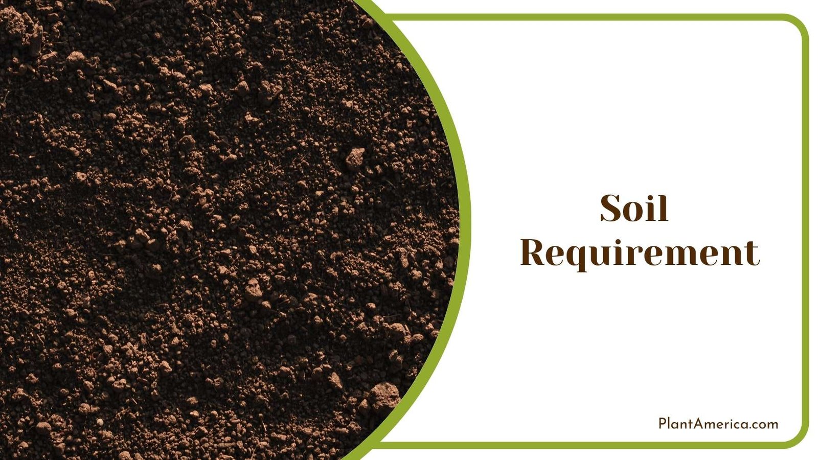 Close Shot On Soil For Gardening Plant America