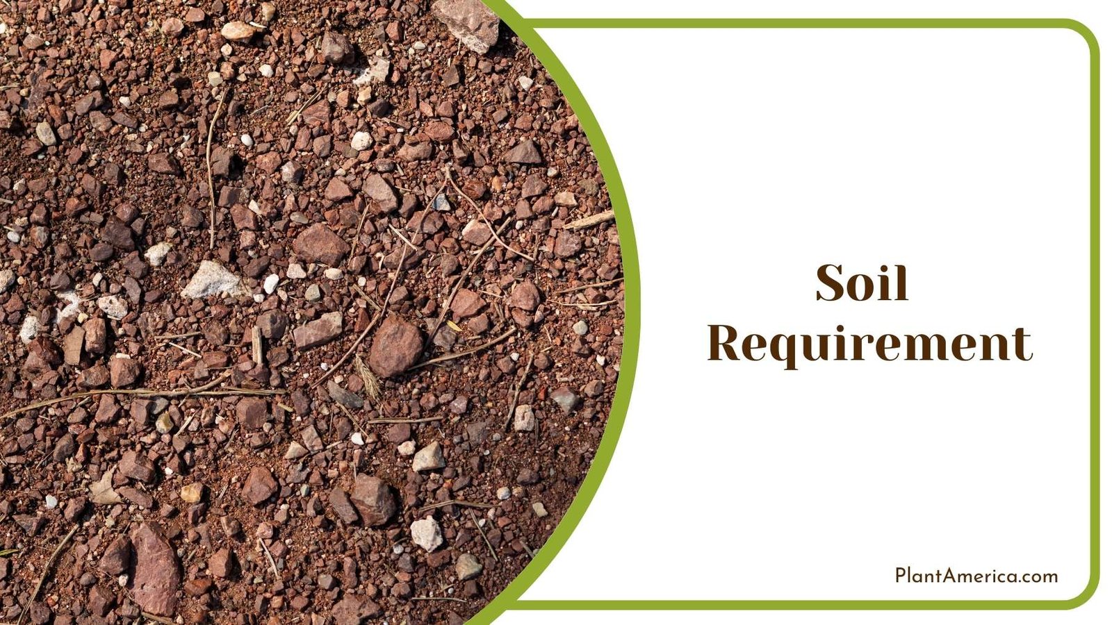 Details Of Soil For Gardening Plant America