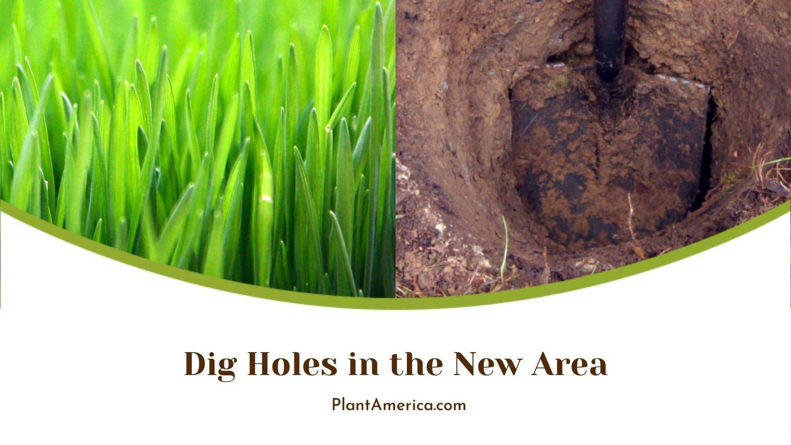 Digging Holes in New Area Plant America Digging Holes in New Area Plant America