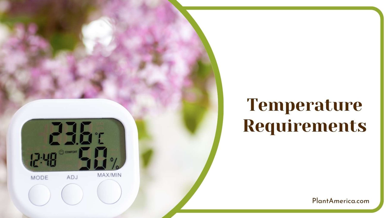 Digital Thermometer On a Surface Plant America