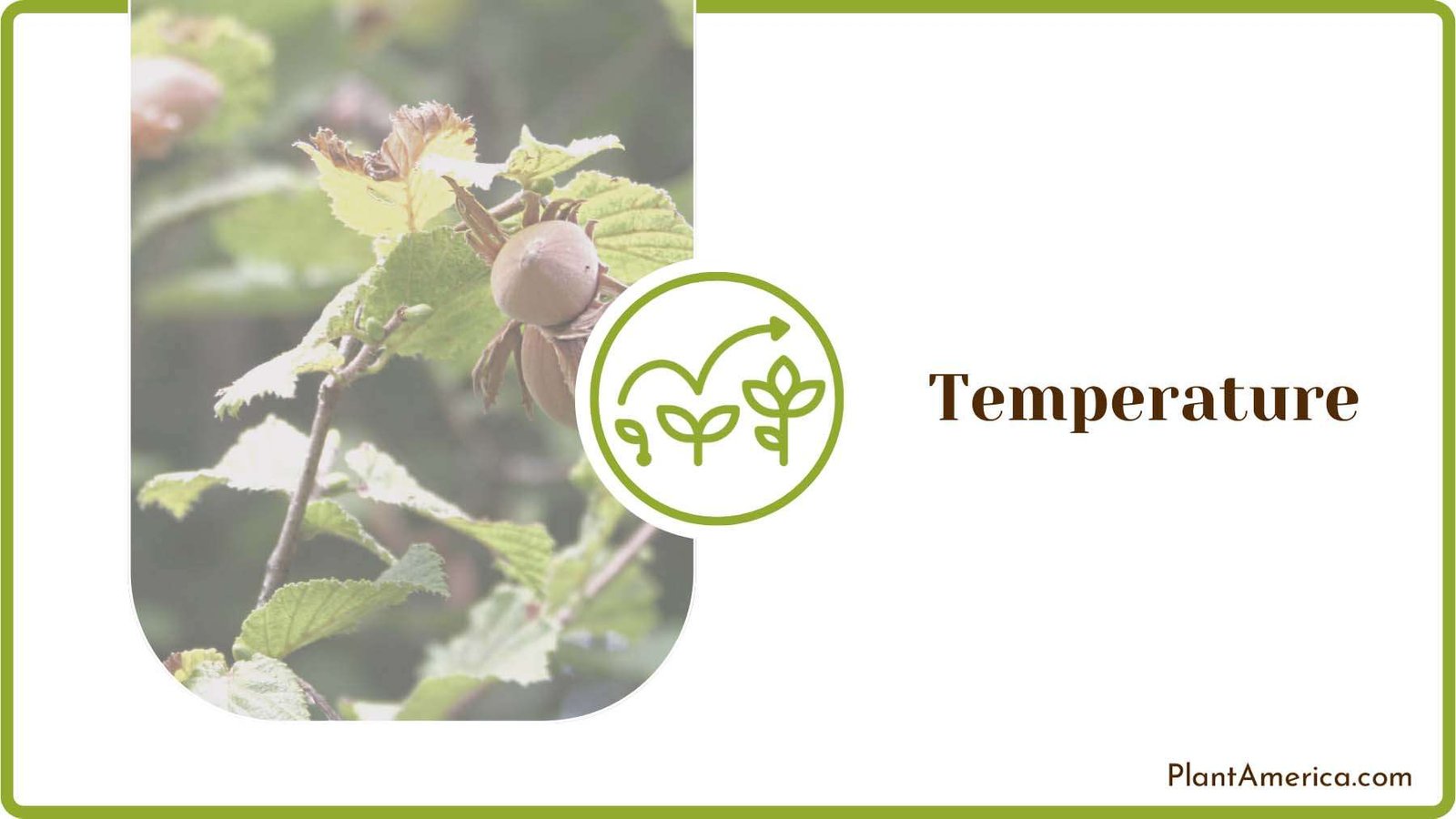 Environmental Temperature for Plants Plant America