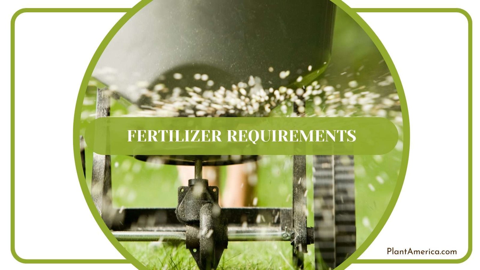 Fertilizer for Hookeri Plants Plant America